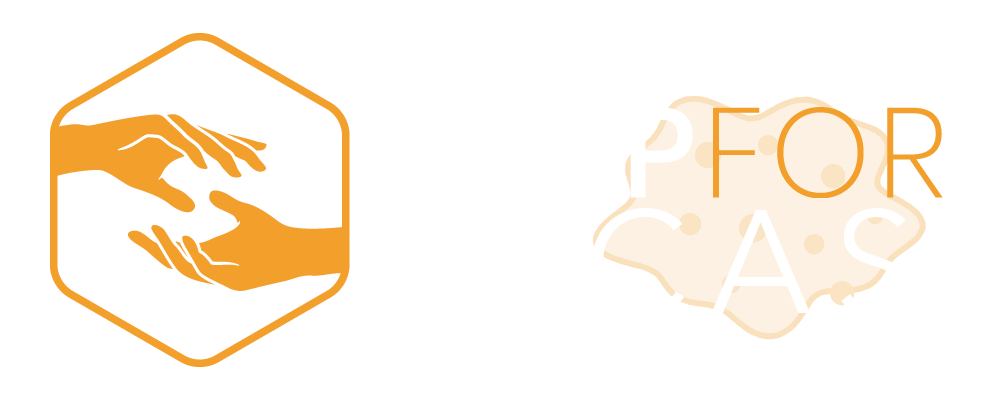 MCAS Logo